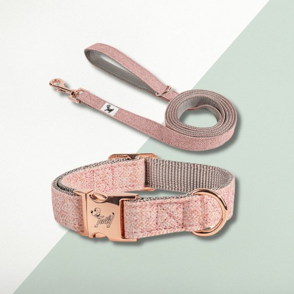 🐶 NEW 🐶 Taily Blush Pink Collar & City Lead Set (Size: Small) - Picture 1 of 5